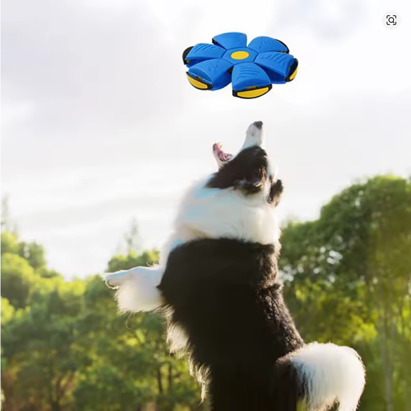 OFERTA Pelota Juguete Voladora para tu mascota