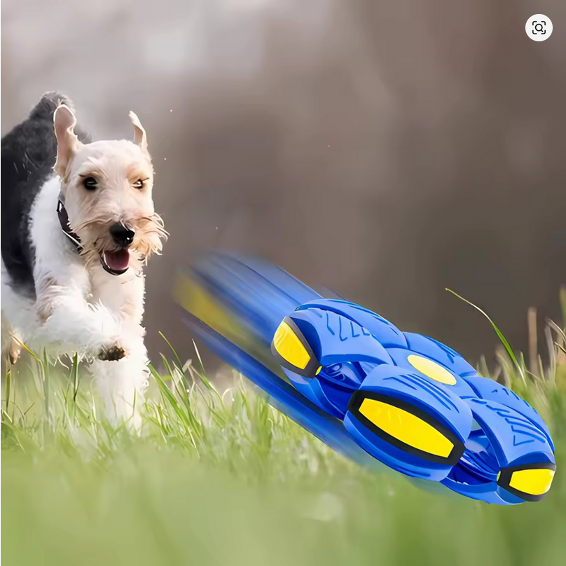OFERTA Pelota Juguete Voladora para tu mascota